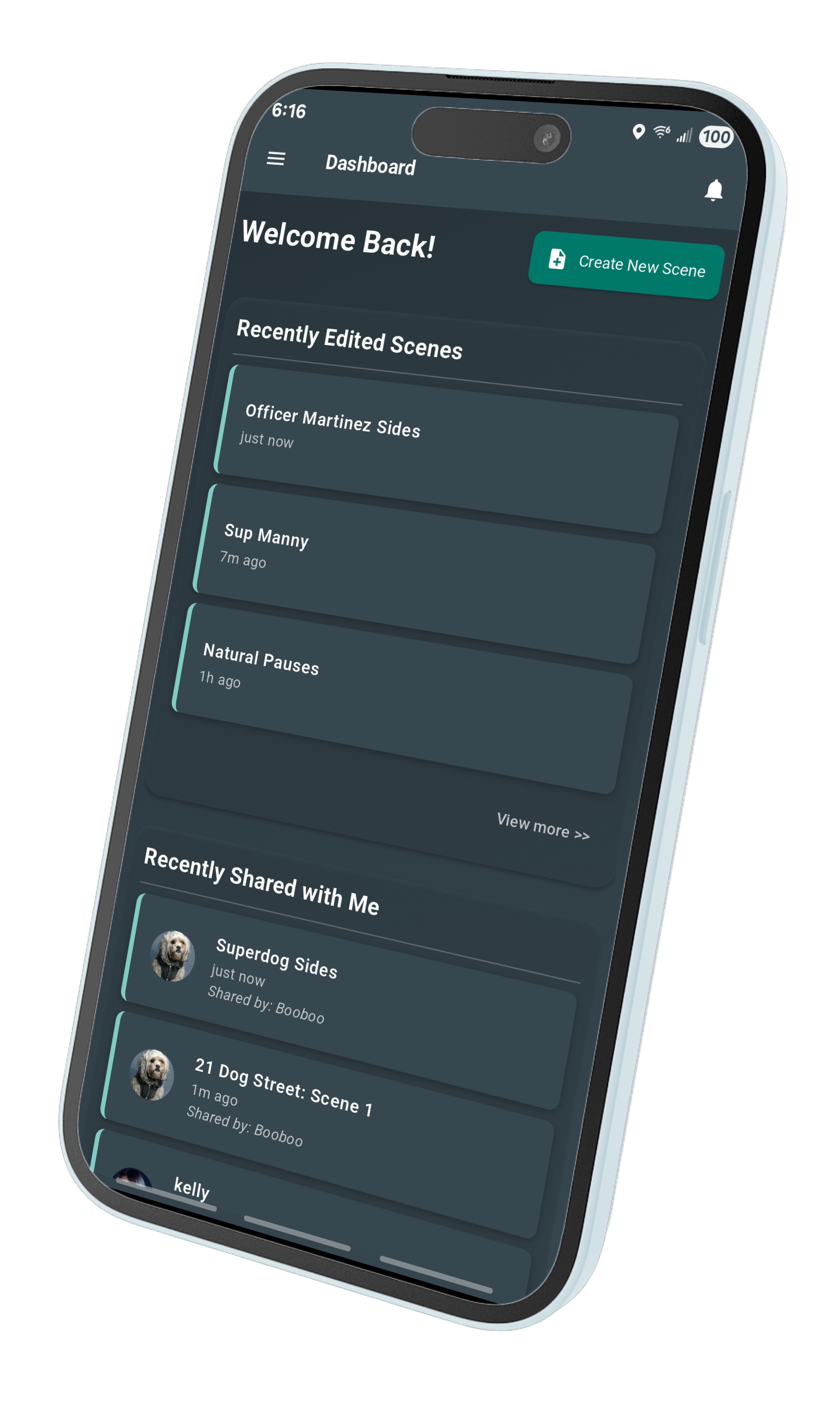 App preview on phone
