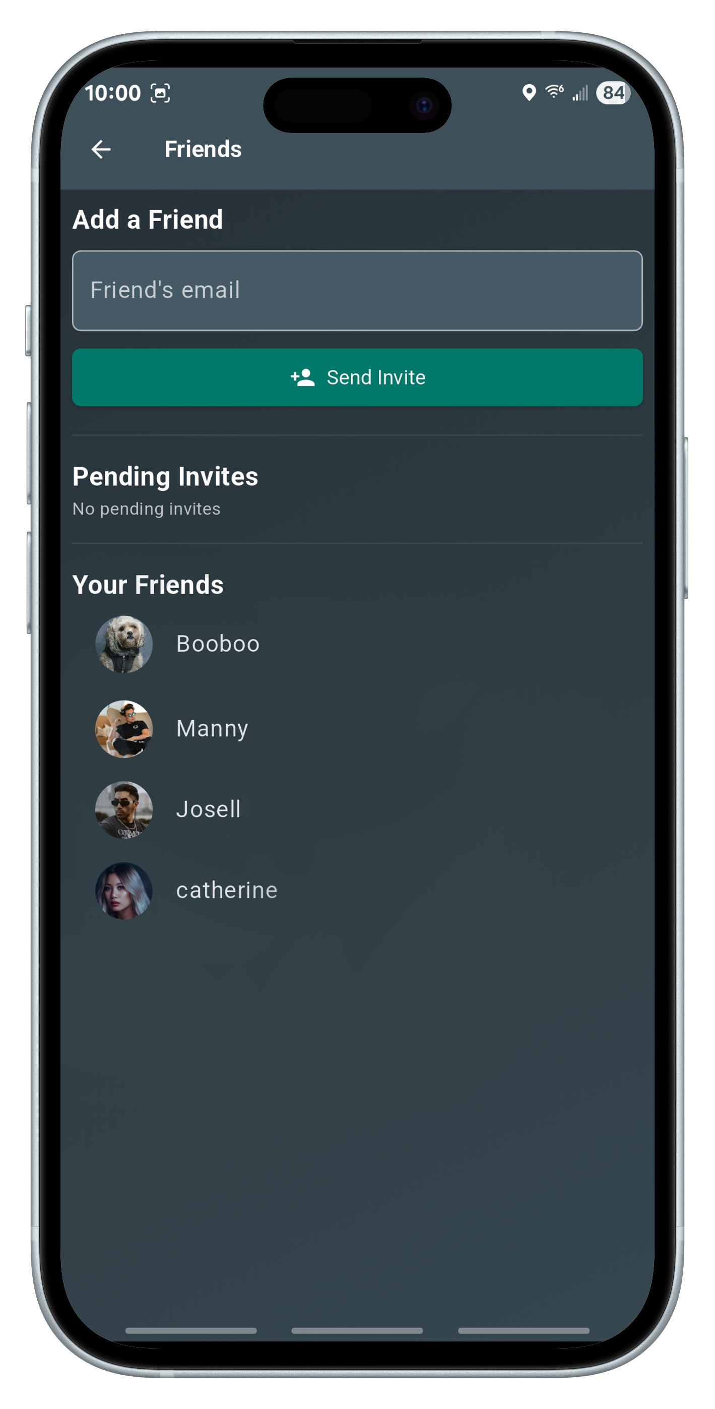 Friends screenshot